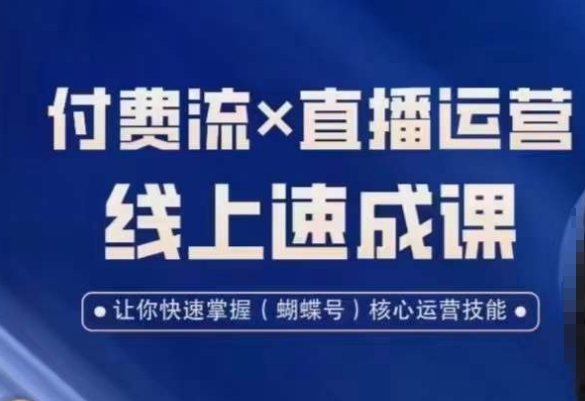 视频号付费流实操课程，付费流✖️直播运营速成课，让你快速掌握视频号核心运营技能-摸金项目网