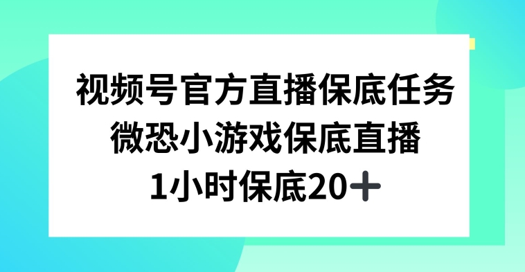 视频号直播任务，微恐小游戏，1小时20+【揭秘】-摸金项目网
