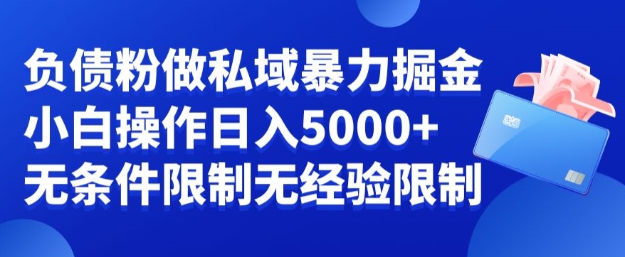 负债粉私域暴力掘金，小白操作入5000，无经验限制，无条件限制【揭秘】-摸金项目网