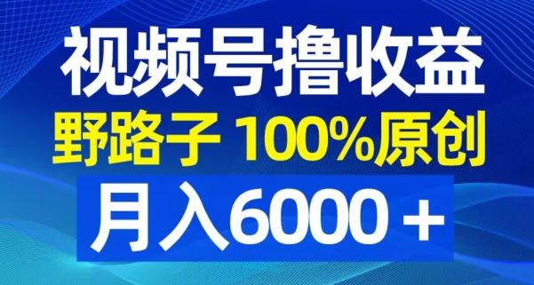 视频号野路子撸收益，100%原创，条条爆款，月入6000＋【揭秘】-摸金项目网