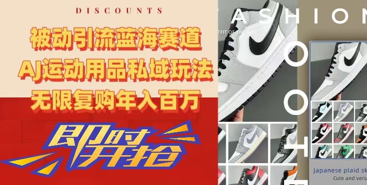 被动引流蓝海赛道，AJ运动用品私域玩法，无限复购年入百万【揭秘】-摸金项目网