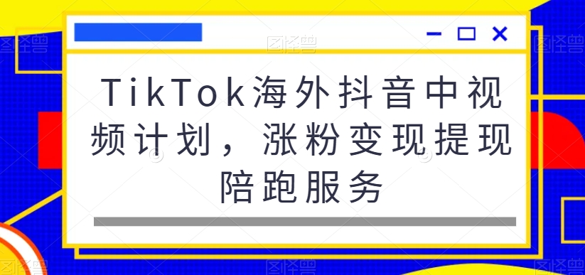 TikTok海外抖音中视频计划，涨粉变现提现陪跑服务-摸金项目网