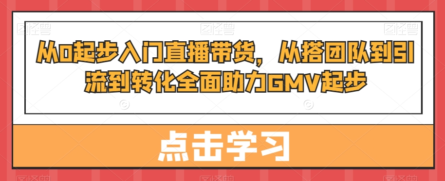 从0起步入门直播带货，​从搭团队到引流到转化全面助力GMV起步-摸金项目网