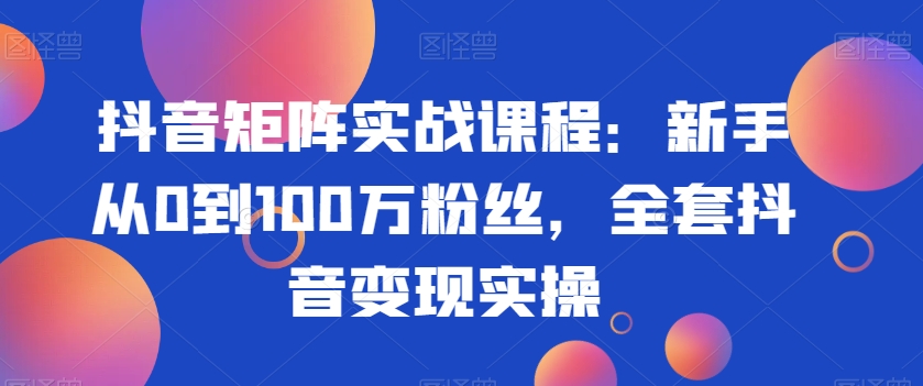 抖音矩阵实战课程：新手从0到100万粉丝，全套抖音变现实操-摸金项目网