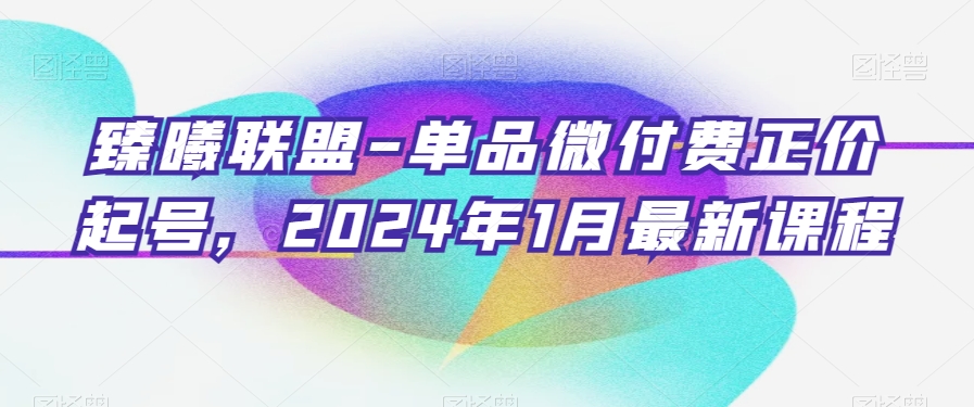 臻曦联盟-单品微付费正价起号，2024年1月最新课程-摸金项目网