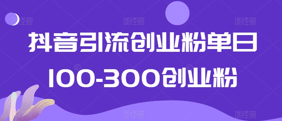抖音引流创业粉单日100-300创业粉【揭秘】-摸金项目网