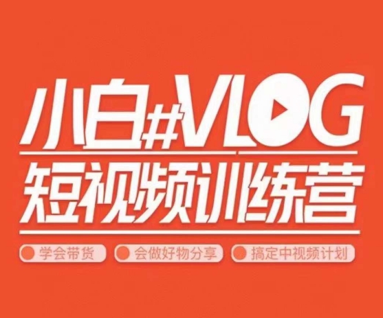 小呆说视–小白VLOG短视频训练营，学会带货、好物、直播、中视频-摸金项目网