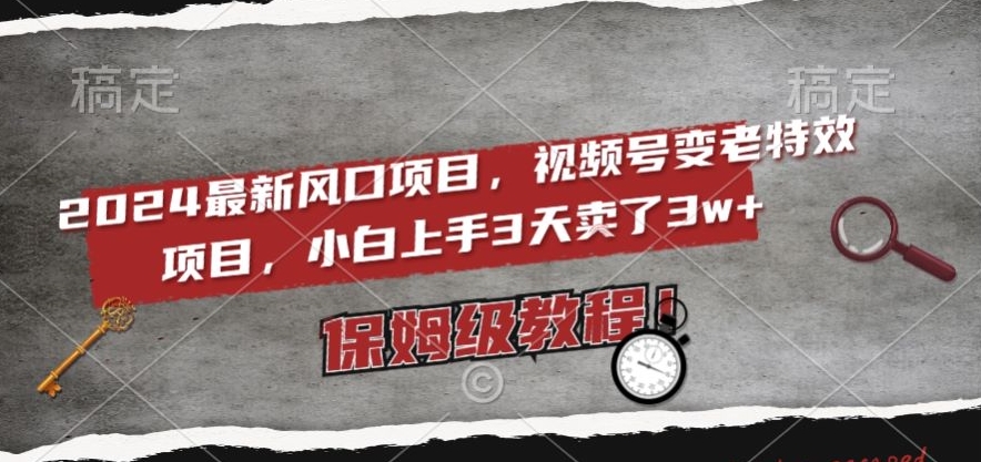 2024最新风口项目，视频号变老特效项目，电脑小白上手3天卖了3w+，保姆级教程【揭秘】-摸金项目网