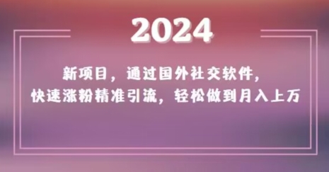 2024新项目，通过国外社交软件，快速涨粉精准引流，轻松做到月入上万【揭秘】-摸金项目网