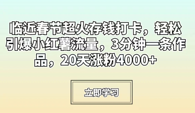 临近春节超火存钱打卡，轻松引爆小红薯流量，3分钟一条作品，20天涨粉4000+【揭秘】-摸金项目网