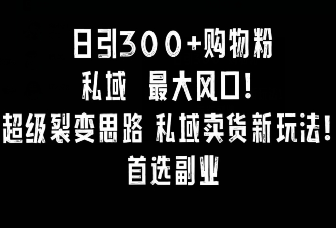 日引300+购物粉，超级裂变思路，私域卖货新玩法，小红书首选副业【揭秘】-摸金项目网