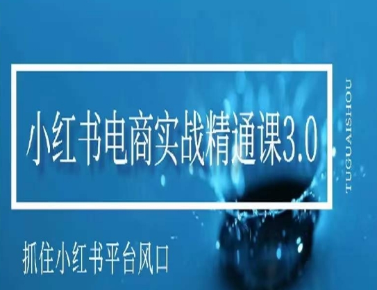 小红书电商实战精通课3.0，抓住小红书平台的风口，不错过有一个赚钱的机会-摸金项目网