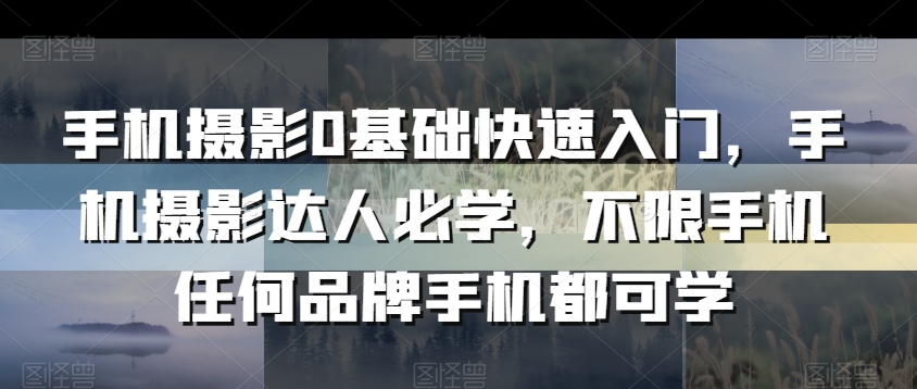 手机摄影0基础快速入门，手机摄影达人必学，不限手机任何品牌手机都可学-摸金项目网