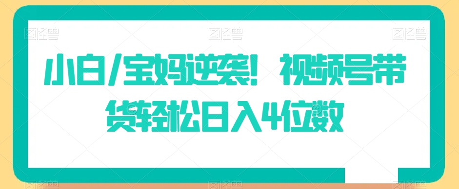 小白/宝妈逆袭！视频号带货轻松日入4位数【揭秘】-摸金项目网