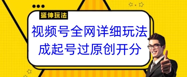 视频号全网最详细玩法，起号过原创开分成，单号日入300+【揭秘】-摸金项目网