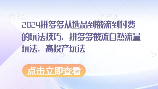 2024拼多多从选品到截流到付费的玩法技巧，拼多多截流自然流量玩法，高投产玩法-摸金项目网
