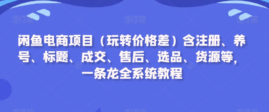 闲鱼电商项目（玩转价格差）含注册、养号、标题、成交、售后、选品、货源等，一条龙全系统教程-摸金项目网