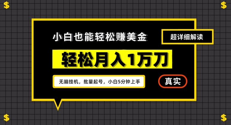 谷歌看广告撸美金2.0，无脑挂机，多号操作，月入1万刀【揭秘】-摸金项目网
