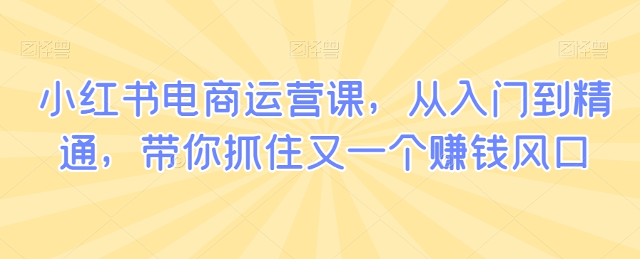 小红书电商运营课，从入门到精通，带你抓住又一个赚钱风口-摸金项目网