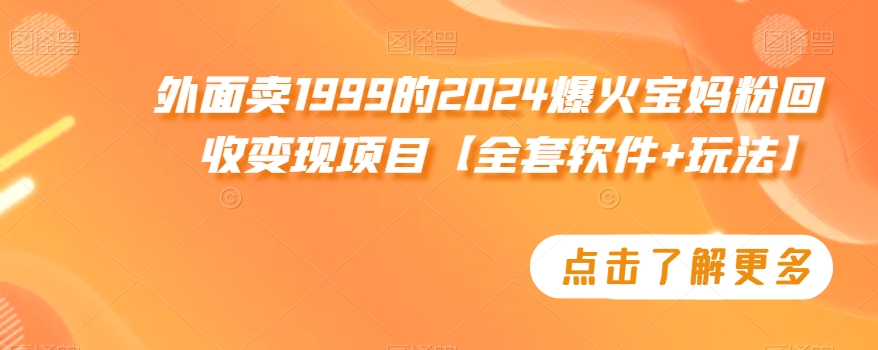 外面卖1999的2024爆火宝妈粉回收变现项目【全套软件+玩法】【揭秘】-摸金项目网