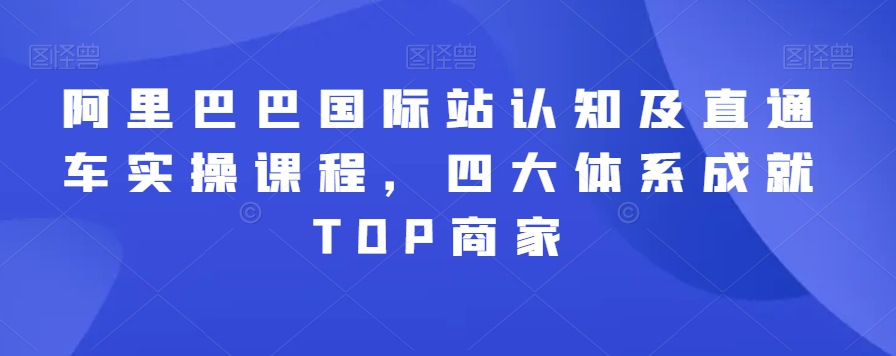 阿里巴巴国际站认知及直通车实操课程，四大体系成就TOP商家-摸金项目网