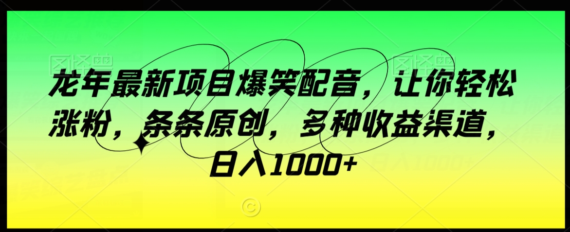 龙年最新项目爆笑配音，让你轻松涨粉，条条原创，多种收益渠道，日入1000+【揭秘】-摸金项目网