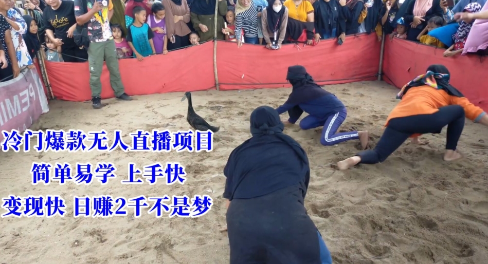 冷门爆款无人直播项目，简单易学上手快，变现快日赚2千不是梦【揭秘】-摸金项目网