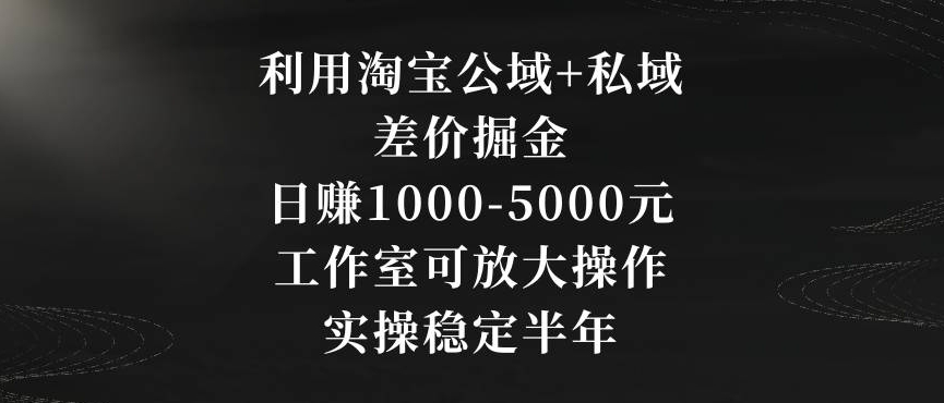利用淘宝公域+私域差价掘金，日赚1000-5000元，工作室可放大操作，实操稳定半年【揭秘】-摸金项目网