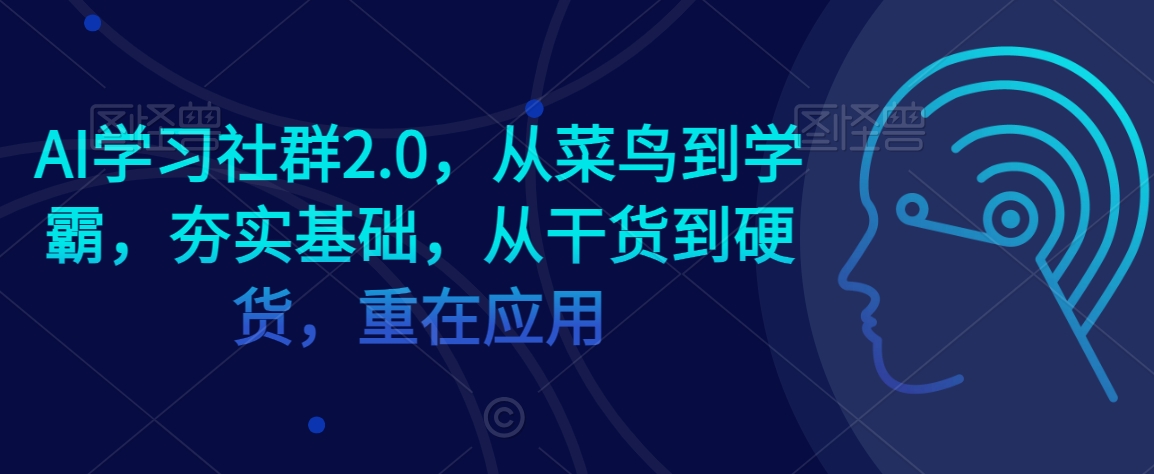 AI学习社群2.0，从菜鸟到学霸，夯实基础，从干货到硬货，重在应用-摸金项目网