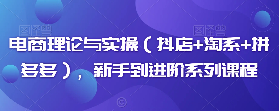 电商理论与实操（抖店+淘系+拼多多），新手到进阶系列课程-摸金项目网