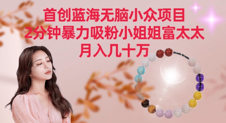 首创蓝海无脑小众项目，2分钟暴力吸粉小姐姐富太太，月入几十万【揭秘】-摸金项目网