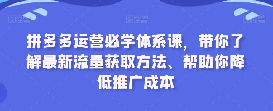 拼多多运营必学体系课，带你了解最新流量获取方法、帮助你降低推广成本-摸金项目网
