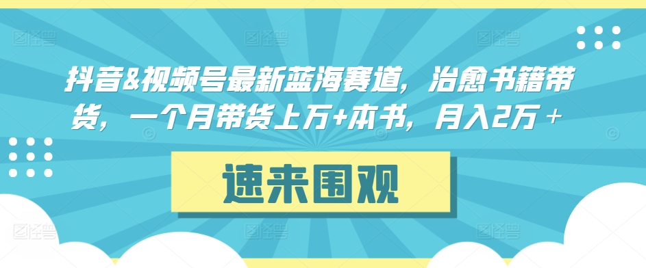 抖音&视频号最新蓝海赛道，治愈书籍带货，一个月带货上万+本书，月入2万＋【揭秘】-摸金项目网