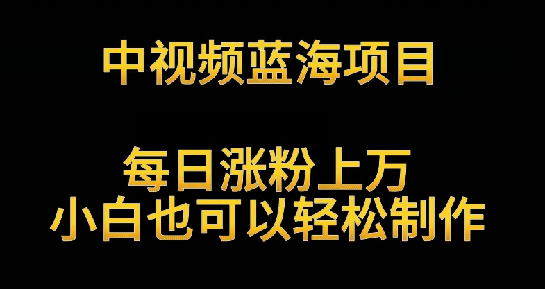中视频蓝海项目，解读英雄人物生平，每日涨粉上万，小白也可以轻松制作，月入过万不是梦【揭秘】-摸金项目网