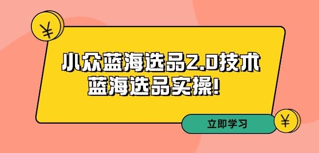 拼多多培训第33期：小众蓝海选品2.0技术-蓝海选品实操！-摸金项目网