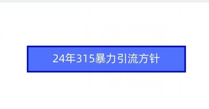 24年315暴力引流方针-摸金项目网