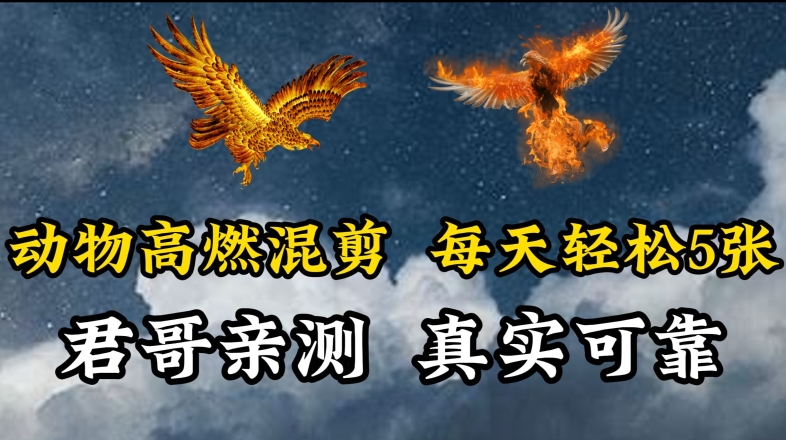 动物超燃混剪，每天轻松5张，剪辑简单大家爱看【揭秘】-摸金项目网