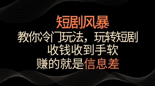 短剧风暴，教你冷门玩法，玩转短剧，收钱收到手软【揭秘】-摸金项目网