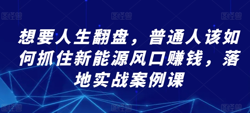 想要人生翻盘，普通人该如何抓住新能源风口赚钱，落地实战案例课-摸金项目网