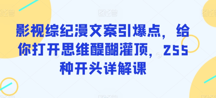 影视综纪漫文案引爆点，给你打开思维醍醐灌顶，255种开头详解课-摸金项目网