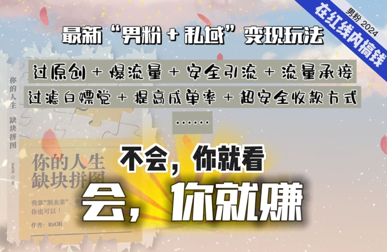 2024，“男粉+私域”还是最耐造、最赚、最轻松、最愉快的变现方式【揭秘】-摸金项目网