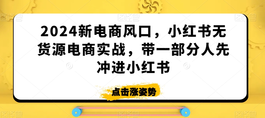 2024新电商风口，小红书无货源电商实战，带一部分人先冲进小红书-摸金项目网