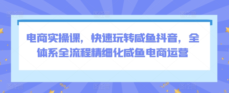 电商实操课，快速玩转咸鱼抖音，全体系全流程精细化咸鱼电商运营-摸金项目网
