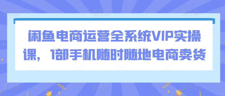 闲鱼电商运营全系统VIP实操课，1部手机随时随地电商卖货-摸金项目网