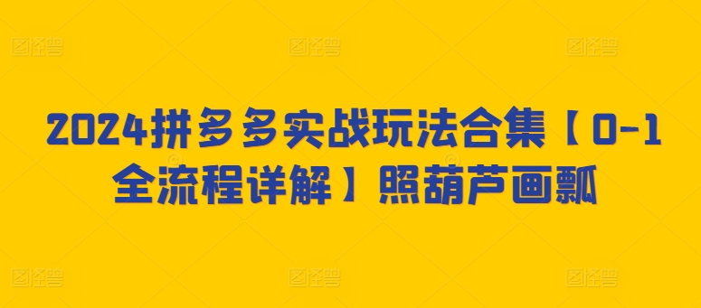 2024拼多多实战玩法合集【0-1全流程详解】照葫芦画瓢-摸金项目网