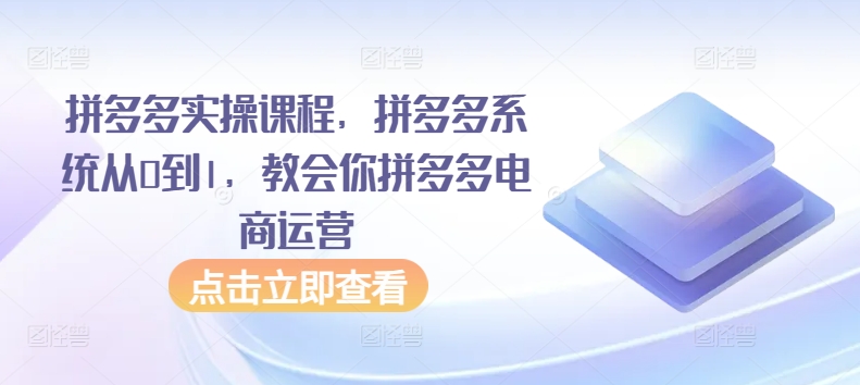 拼多多实操课程，拼多多系统从0到1，教会你拼多多电商运营-摸金项目网
