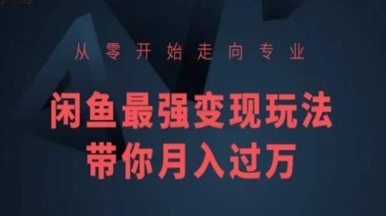 从零开始走向专业，闲鱼最强变现玩法带你月入过万-摸金项目网