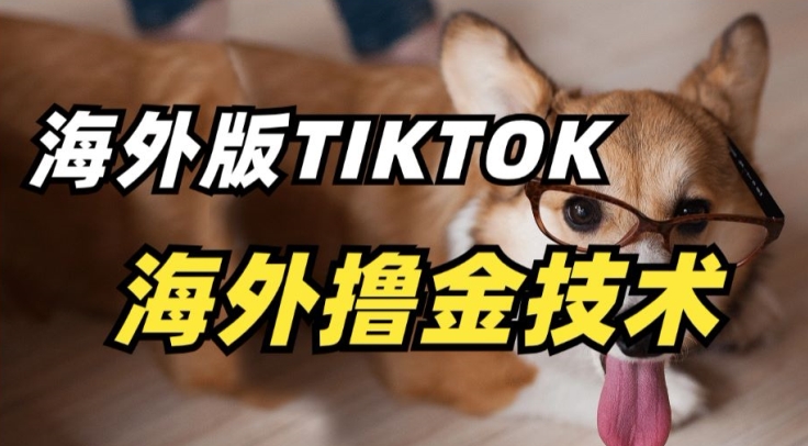 抖音海外版tiktok撸金技术，这个风口行业，赚钱真的不难【揭秘】-摸金项目网
