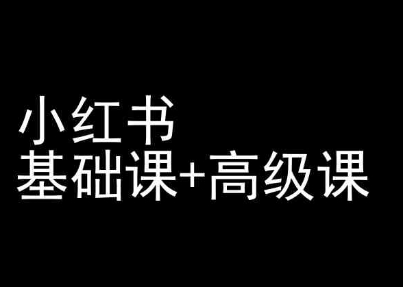 小红书基础课+高级课-小红书运营教程-摸金项目网
