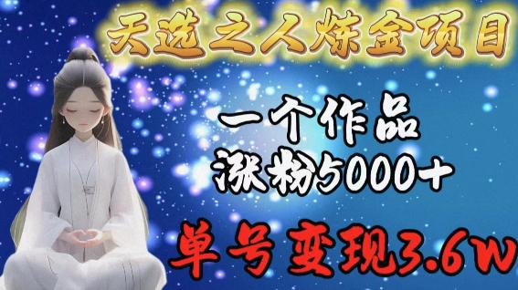 天选之人炼金项目，一个作品涨粉5000+，单号变现3.6w【揭秘】-摸金项目网